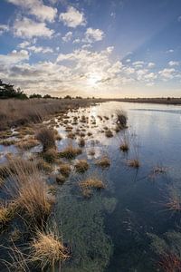 Braakhuizense Heide 17