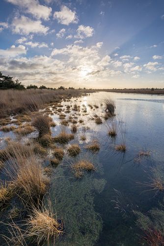 Braakhuizense Heide 17