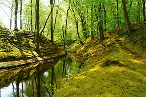 Landgoed Elswout