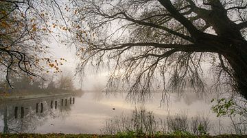 Ancienne piscine de Sassenheim sur Dirk van Egmond