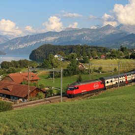 SBB trein in Zwitserland. von van Veldhuisen Fotografie