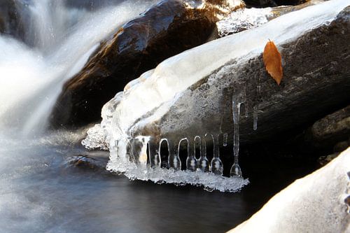 Frozen River