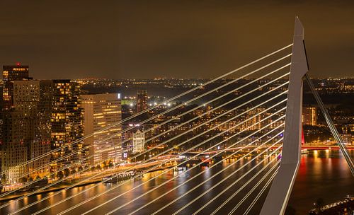 Blick über die Erasmusbrücke von Klazina van den Herik