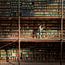 Bibliotheek