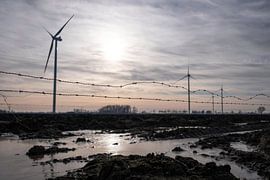 Windmühlen und Stacheldraht