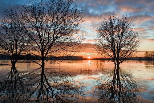 Hoog water in de Lek ter hoogte van Wijk bij Duurstede