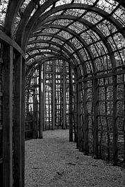 Straße ins Nirgendwo von Louise Poortvliet