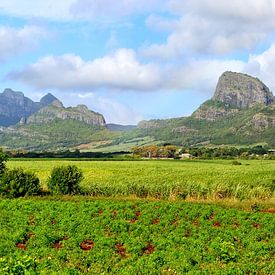 Île Maurice sur AidasignArt