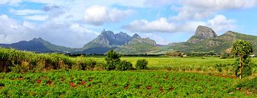 Mauritius Island by AidasignArt