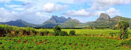 Het eiland Mauritius
