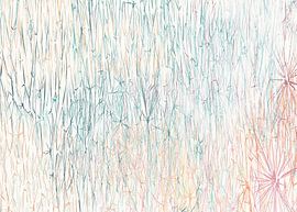 Narrow forest strips by Kimfaesdesign