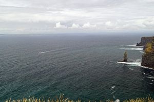 Cliff's of Moher - Irland