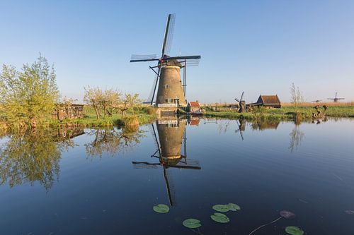 Nederwaard Molen 7 in Kinderdijk