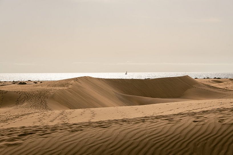 The dunes of Maspalomas by Peter Baier
