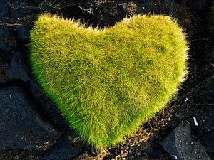 Herz aus Gras
