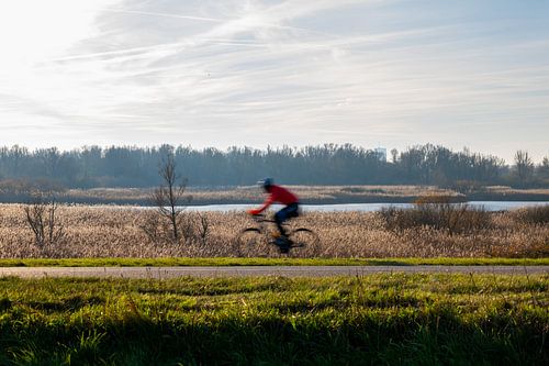 En mouvement sur Revoliño Benschop