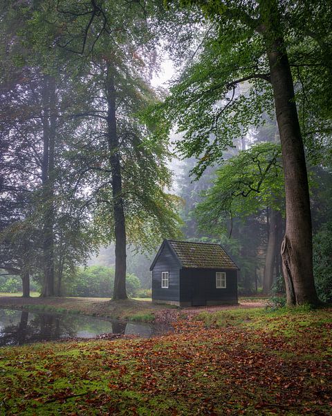 Apeldoorn Autumn atmosphere by Erel Turkay