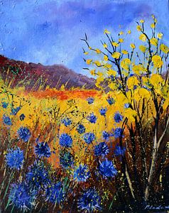 Bleuets sur pol ledent