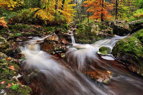 Wilde Hoëgne - Wandelen in de Ardennen