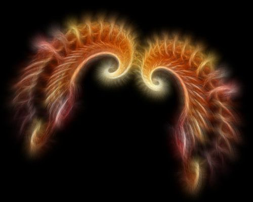 Flügel der Phantasie