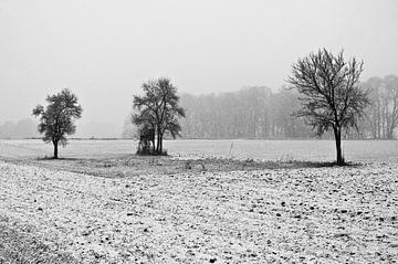 Sprookjesachtig, besneeuwd winterlandschap in de regio Oderbruch