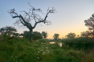 Zonsopkomst aan Werk aan de Groeneweg van Ad Jekel