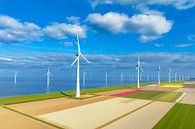 Windturbines op een dijk en voor de kust tijdens de lente gezien vanaf van Sjoerd van der Wal Fotografie thumbnail