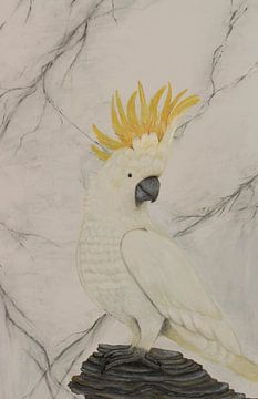 Kaketoe vogel wit marmer met geel / oker kuif van Corina Vd Werf