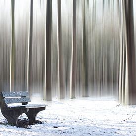 Banc d'hiver sur Ina van Lambalgen