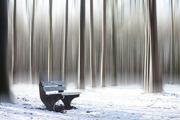 Winter bench by Ina van Lambalgen