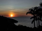 Zonsondergang met palmboom van Bianca ter Riet thumbnail