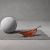 Moon Landing, Christophe Verot van 1x