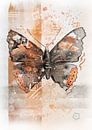 Aquarel schilderij van een Atalanta vlinder van Emiel de Lange thumbnail