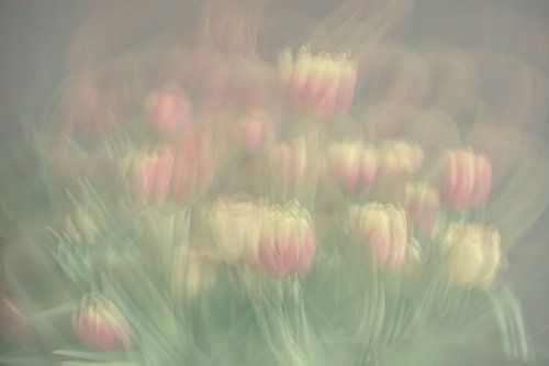 flowers part 366