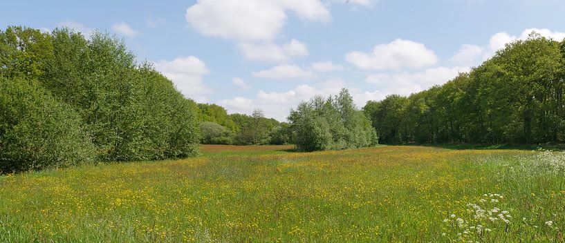 Das Flusstal des Oude Diep im Frühling. von Wim vd Neut