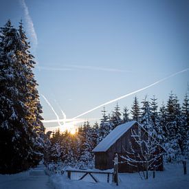 Winterse ochtend van menno visser