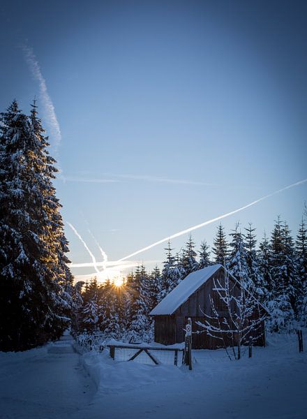 Winterse ochtend van menno visser