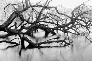 Abstrakte Landschaft