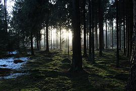 Zonnestralen in de winter.  by jorrit Verduijn