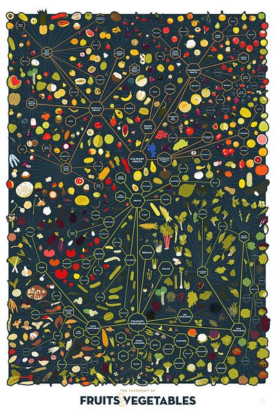 Die Taxonomie der Früchte &amp; Gemüse Tabelle Polyester-Gewebe von Christopher Deitch