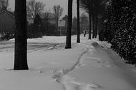 keep moving. snow. van Nicole Nagtegaal thumbnail