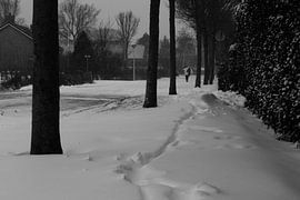 keep moving von Nicole Nagtegaal