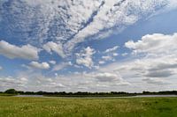 Méandre de la Vecht près de Rheeze