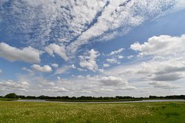 Mäander der Vecht bei Rheeze von Bernard van Zwol