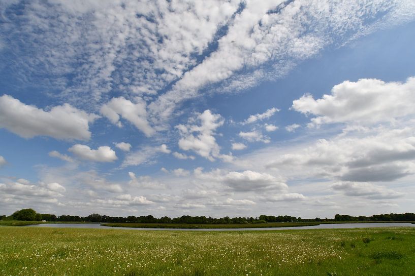 Meander of the Vecht near Rheeze by Bernard van Zwol