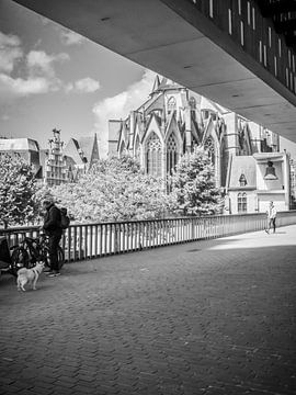 België, Sint-Baafskathedraal Gent van GREY