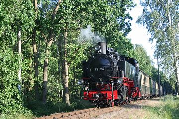 Rasender Roland Historic Steam Train  by ManSch