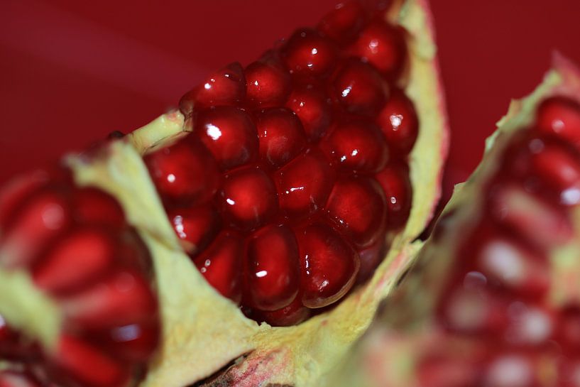 Granatapfel von Bärbel Severens
