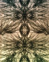 para eidolon