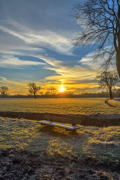 Zonsopkomst van Freddie de Roeck